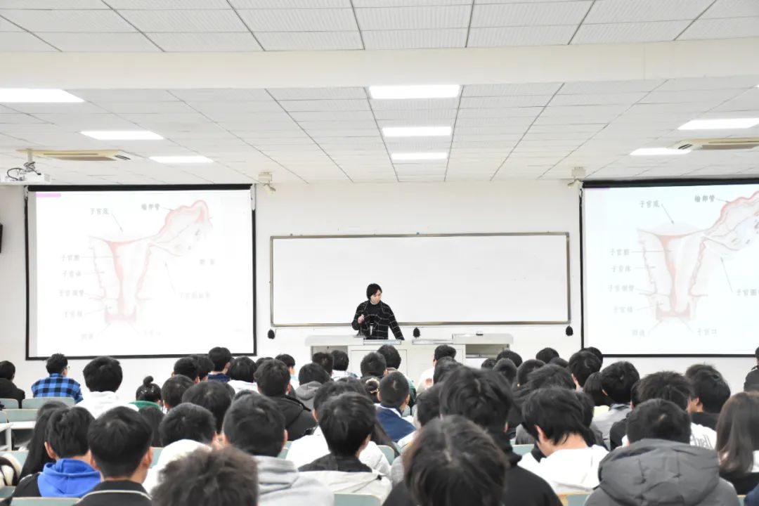 IMG_267 IMG_267
