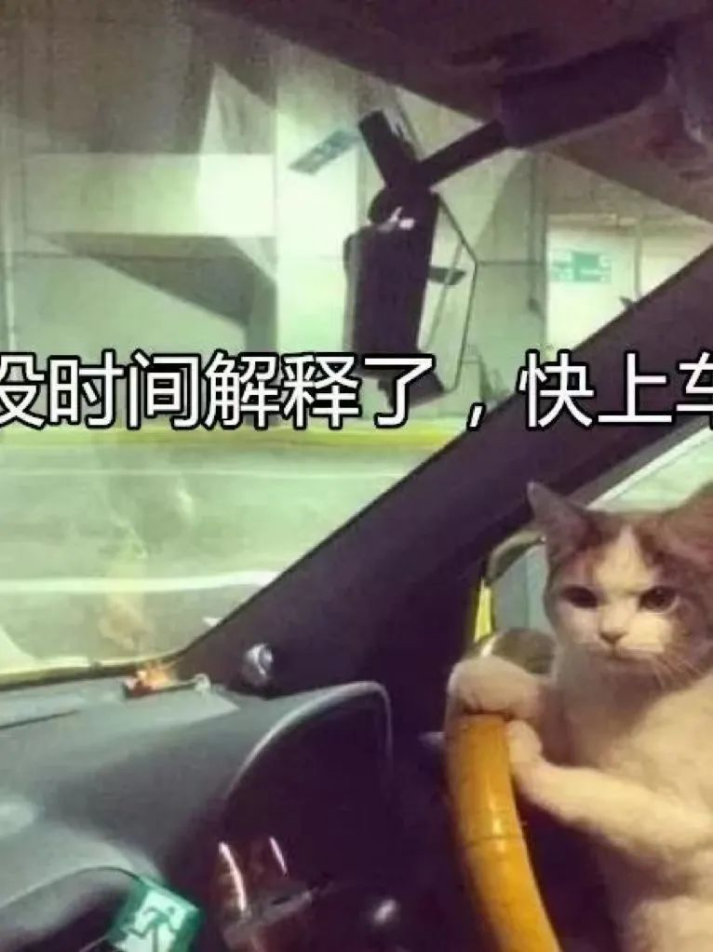 图片 11 图片 11