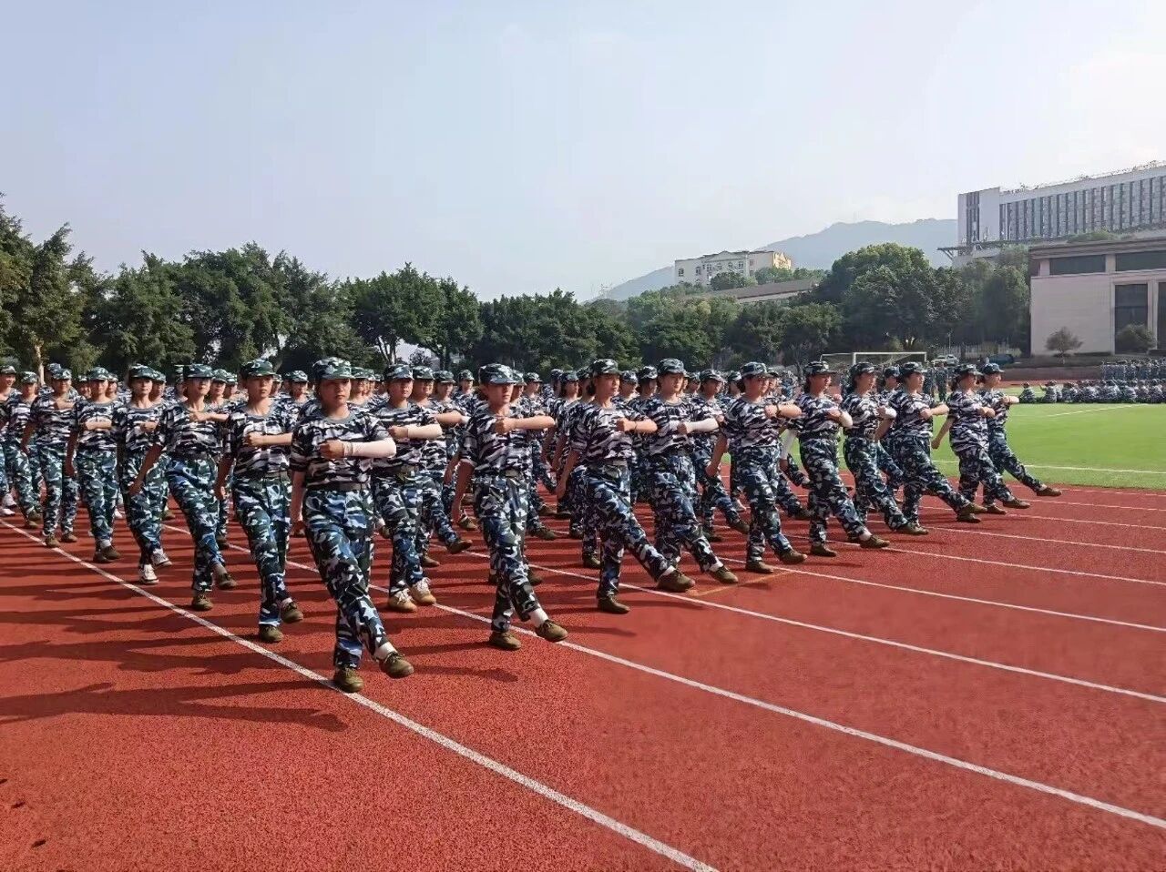 1b8644fff8836a8585419a684e2754af.jpg